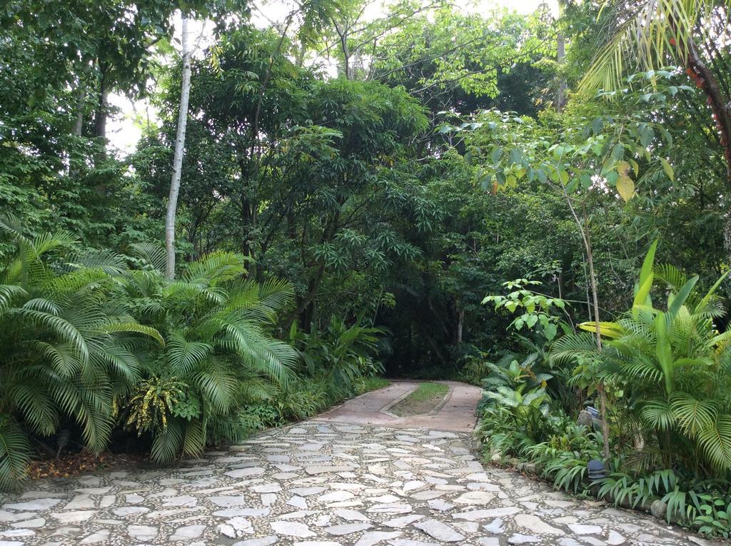 Hotel Boutique Quinta Chanabnal Palenque Exterior foto